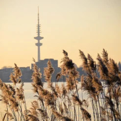 Foto "Aussenalster" 10x10 - Kila