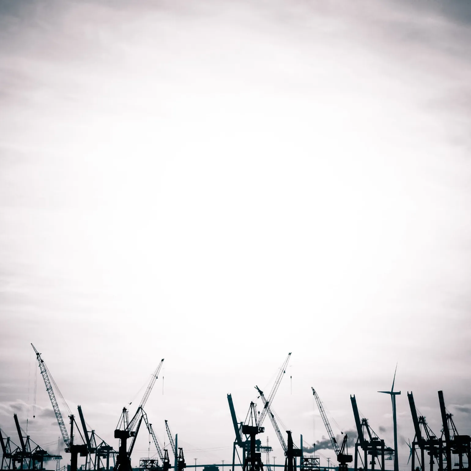 Foto "Giraffen" 10x10 - Kila