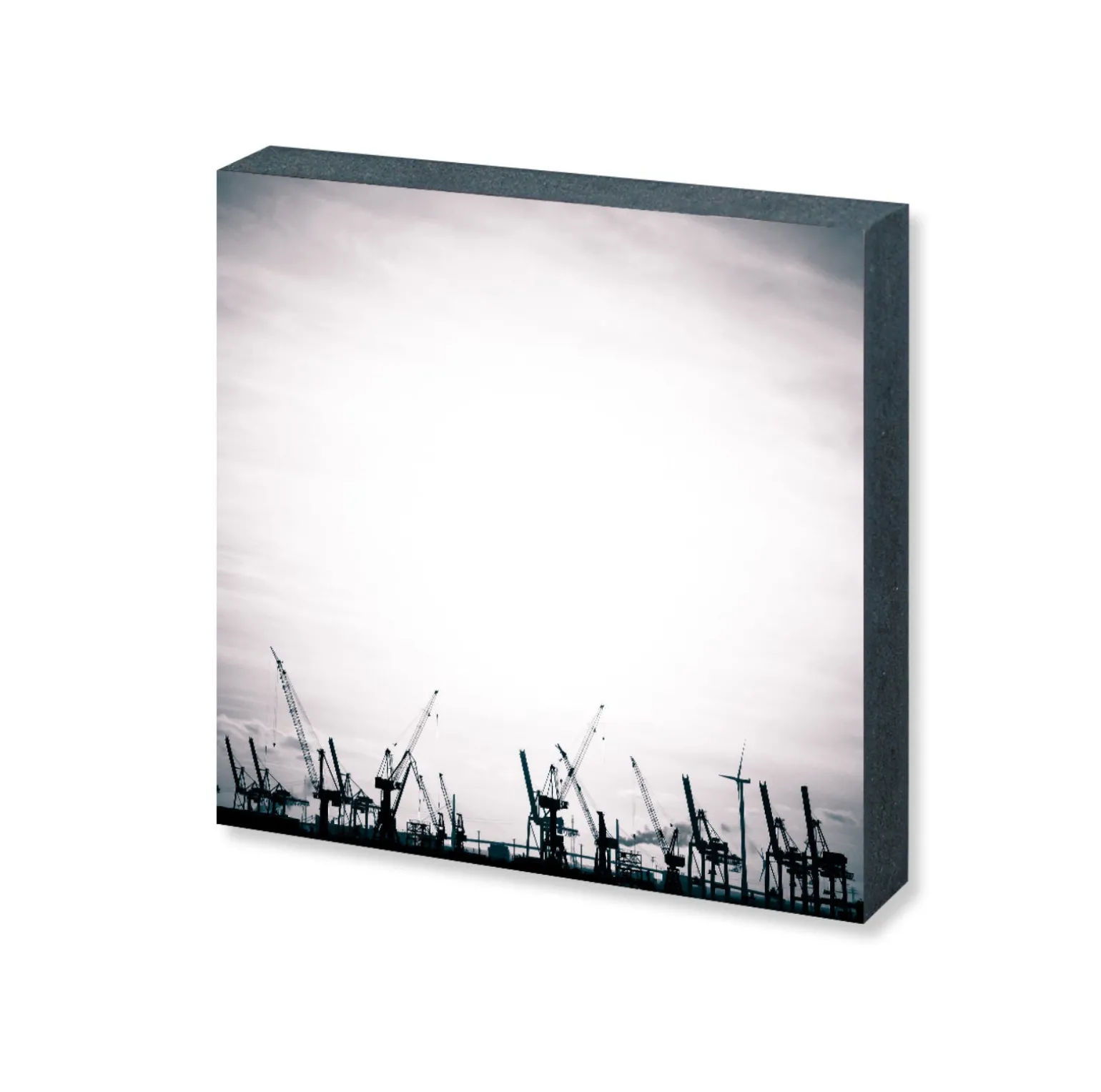 Foto "Giraffen" 10x10 - Kila