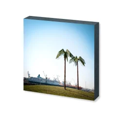 Foto "Parcfiction" HH-143 10x10 - Kila