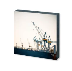 Foto "Sonnenkran" HH-148 10x10 - Kila